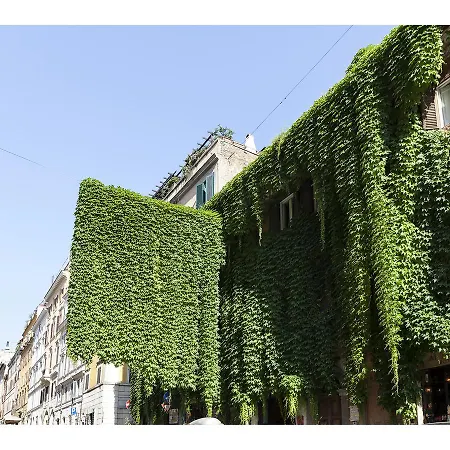Ivy Rome