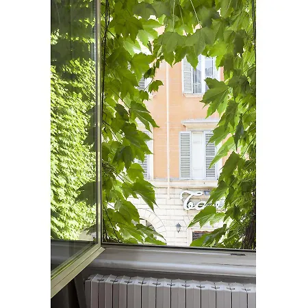 Ivy Rom